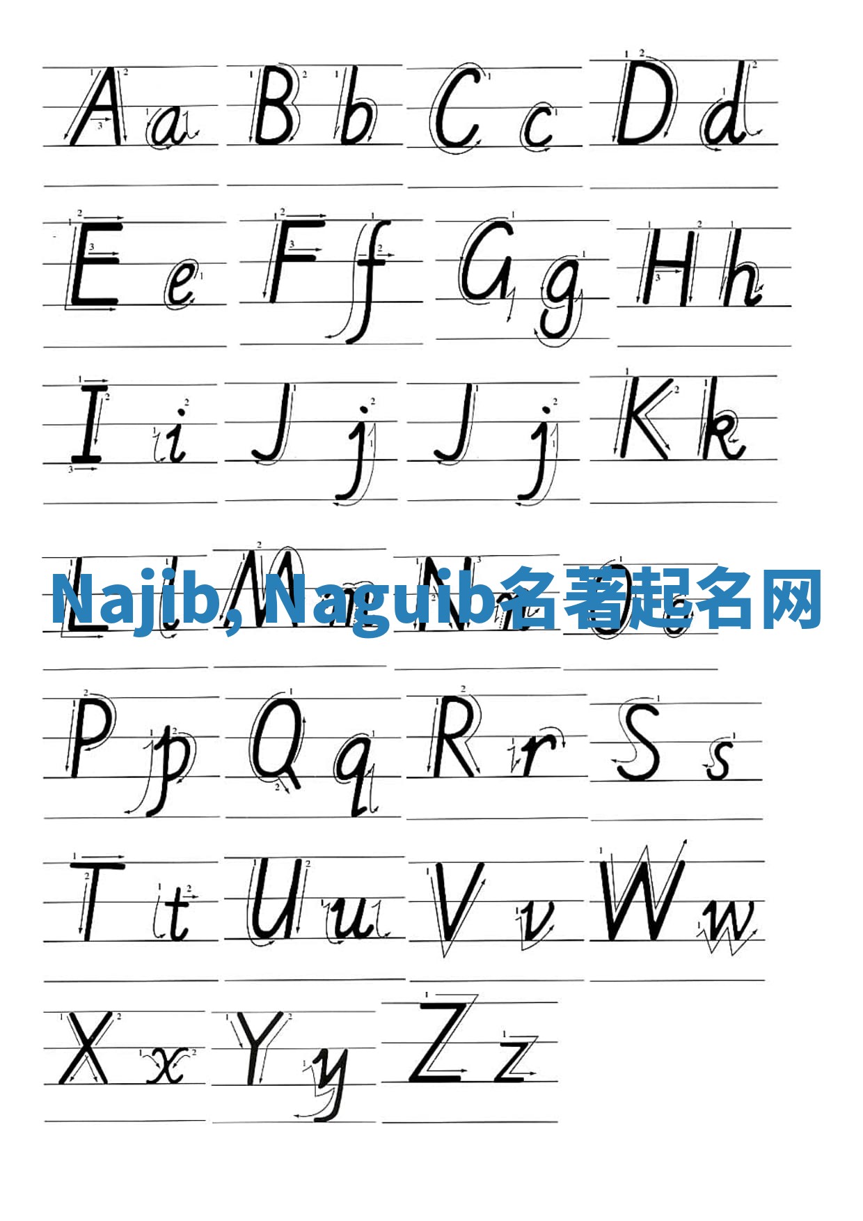 Najib, Naguib名著起名网